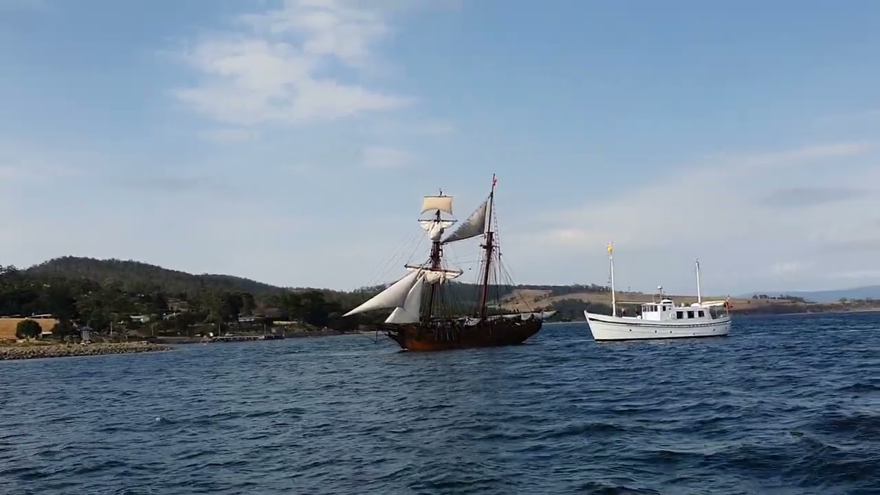 239 - 7th February 2025. Run aground.