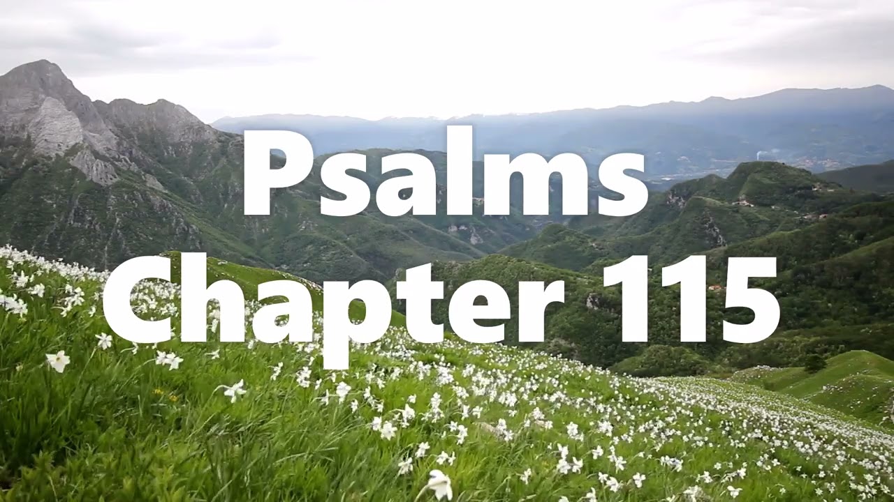 The Book of Psalms Chapter 115 - New King James Version (NKJV) - Audio Bible