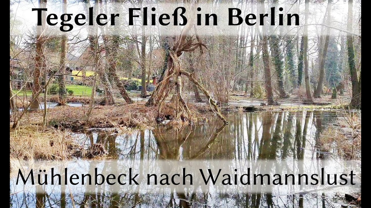 Wanderung von Mühlenbeck nach Berlin Waidmannslust am Tegeler Fließ - Februar 2021