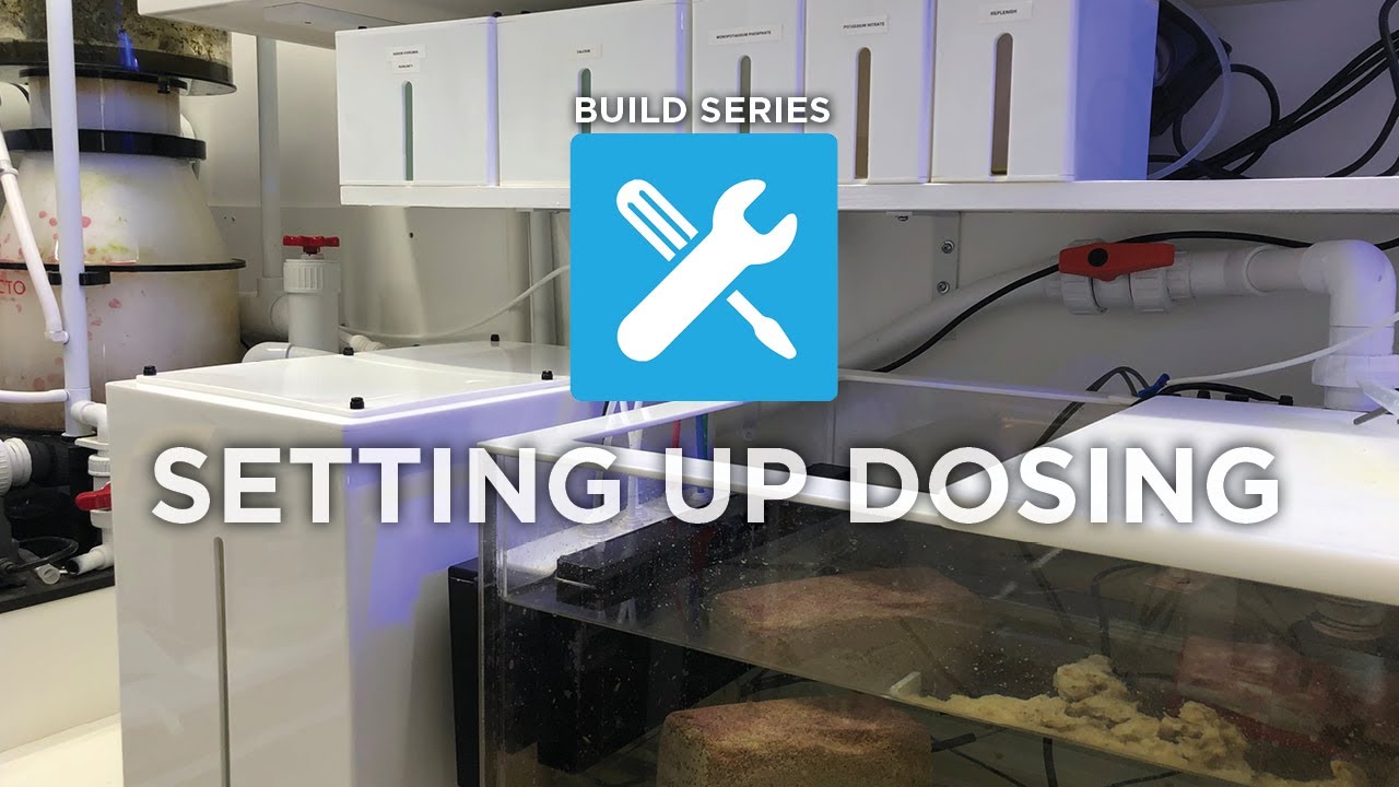Ep. 15 | Build Series: Setting Up Dosing