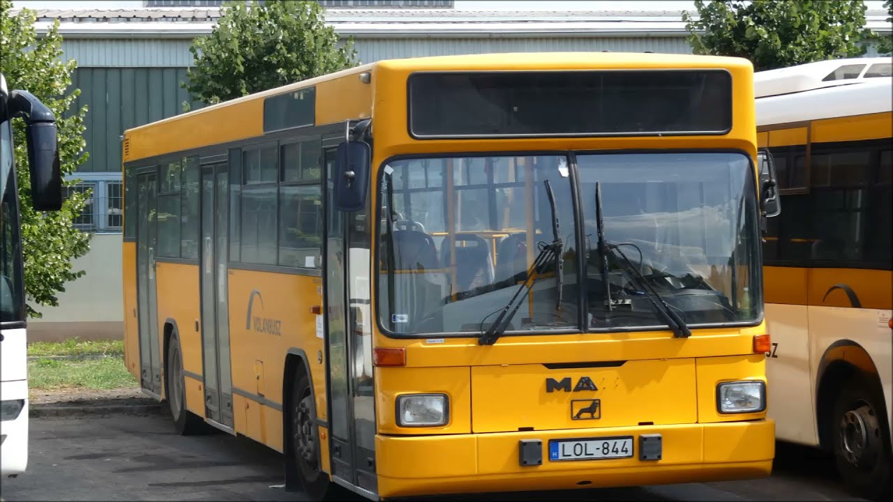 Buszok &Oacute;zdon (2020)