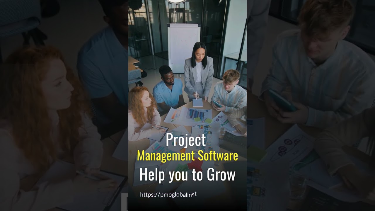 Update ! PMO Software #software #agile #pmo