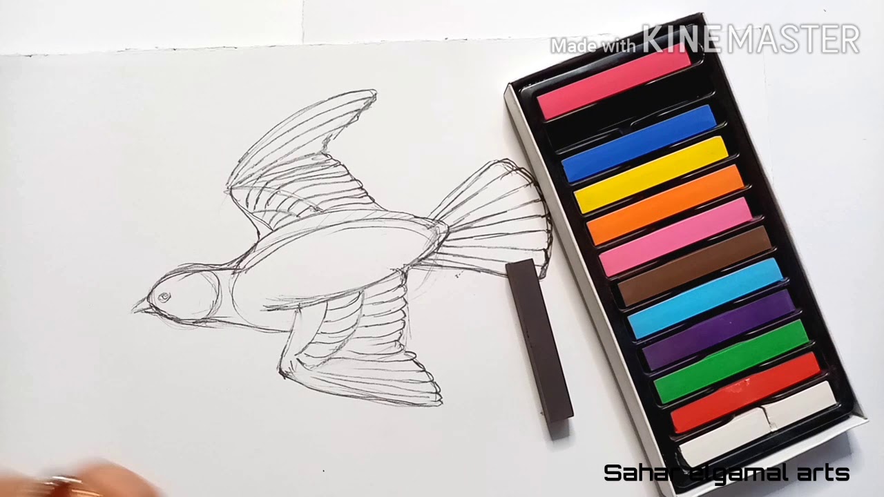 تعليم رسم العصفوره خطوة خطوة.. وكيفيه استخدام الباستيل السوفت