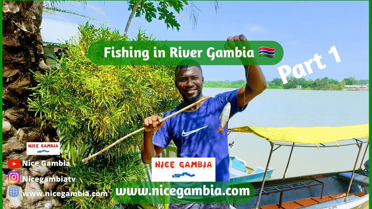 Fishing in River Gambia Part 1 | Business and Entrepreneurship in The Gambia