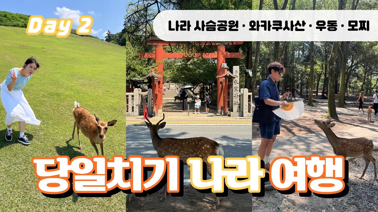오사카 여행 브이로그 ep.3 🇯🇵 나라 당일치기 여행ㅣ나라 사슴공원 꿀팁 🦌ㅣ인생샷 성지 와카쿠사산ㅣ나라 맛집 카마이키우동 나카타니도ㅣ오사카에서 나라 가는법