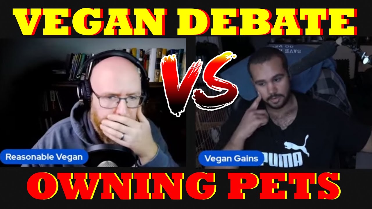 Vegan Gains VS Reasonable Vegan DEBATE ON Animal Ownership