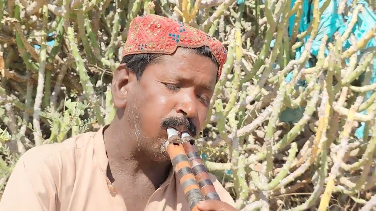 new alghoza dhun | pely abudulgafoor#music #song #video #dhun #sindhi #alghoza
