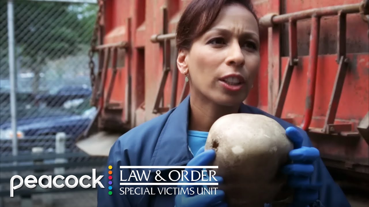 Playground Discovery Leads to Cold Case Investigation | Law & Order: SVU