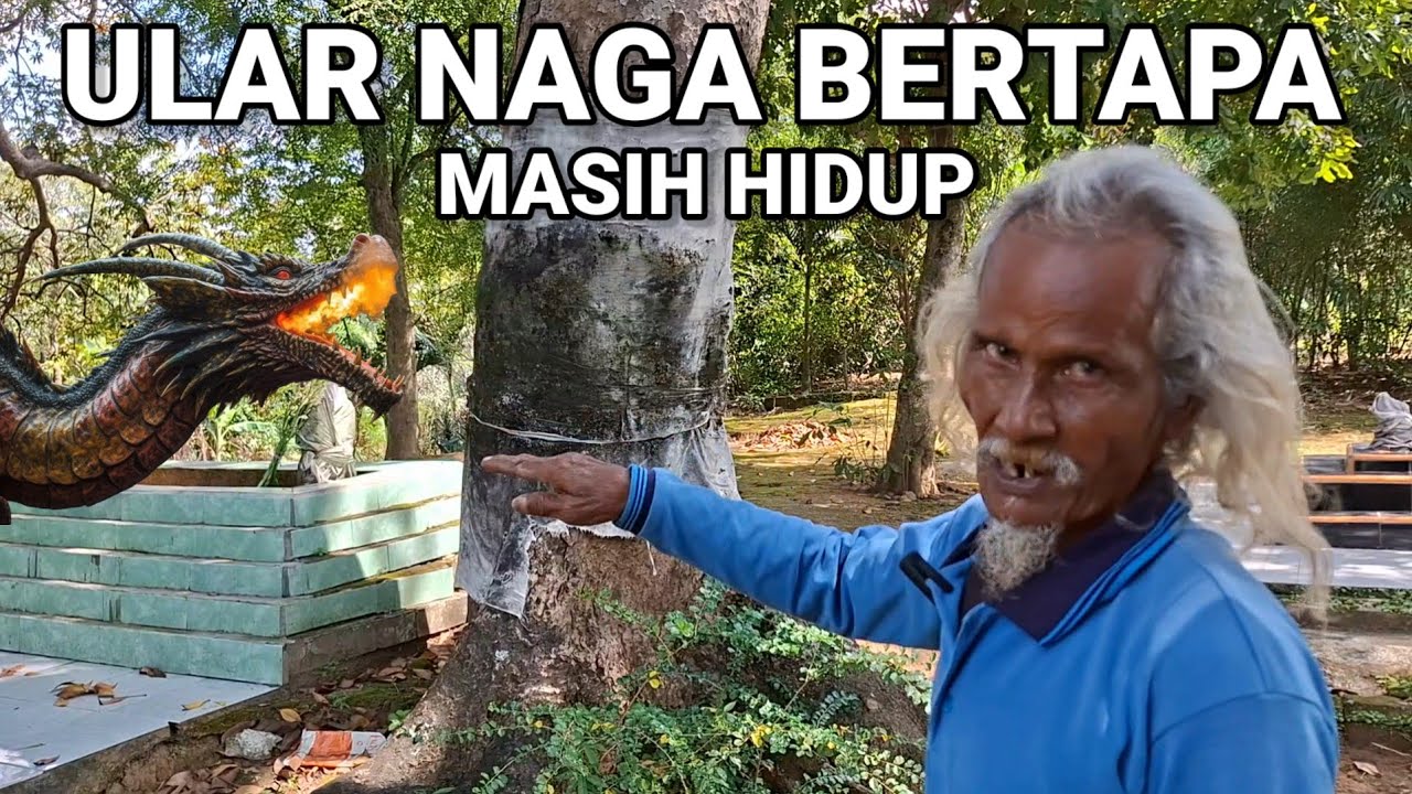 Kuasa Tuhan.! Orang Ini Tunjukkan Ular Naga Bertapa Masih Hidup