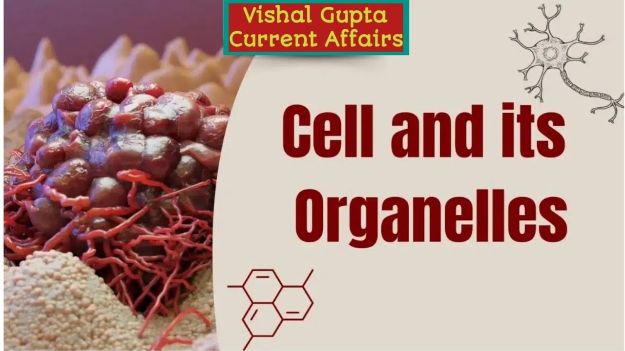 Cell and Its Organelles