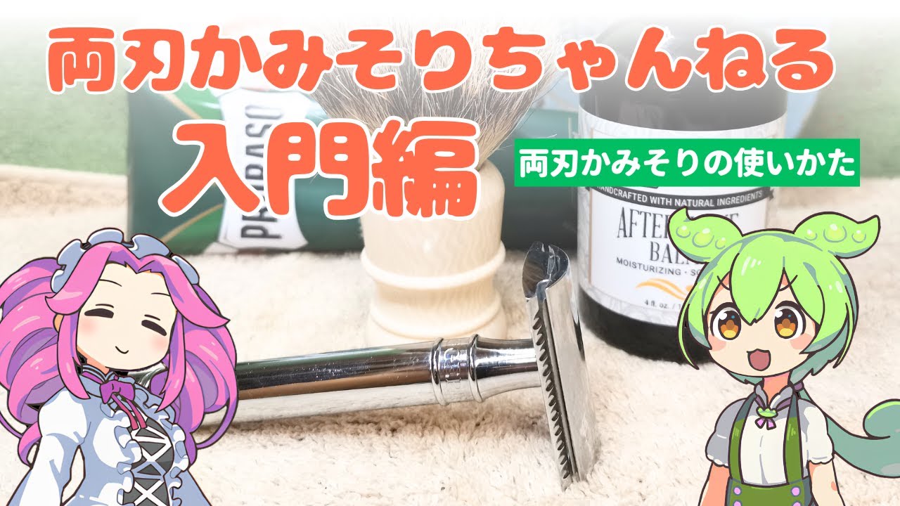ずんだの両刃かみそりちゃんねる ～入門編～