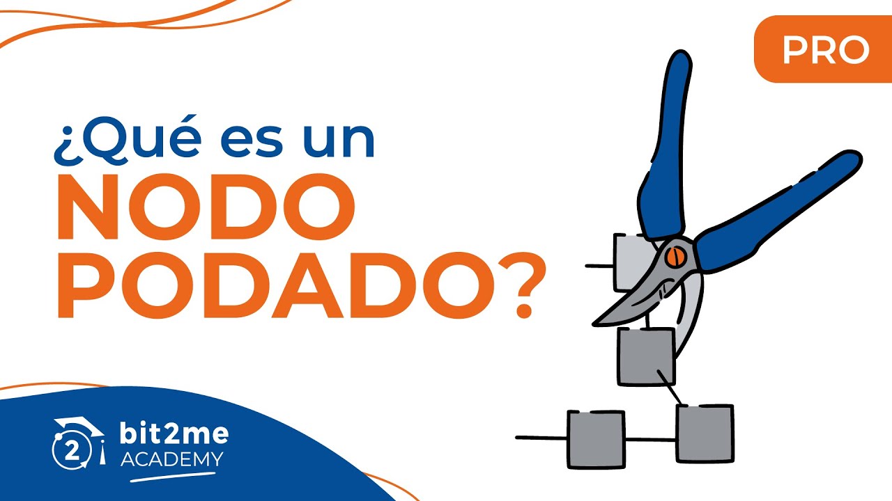 🎓 ¿Qué es y como se crea un NODO PODADO de Bitcoin? - Bit2Me Academy Pro - Tutorial 2020