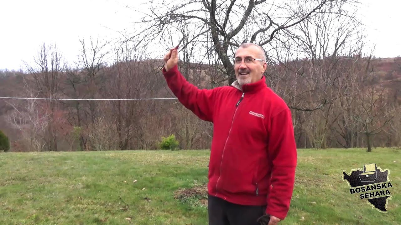 Kako da ostavim babovinu od 700 duluma zemlje. Voćke većinom kalemim i krešem u januaru i februaru
