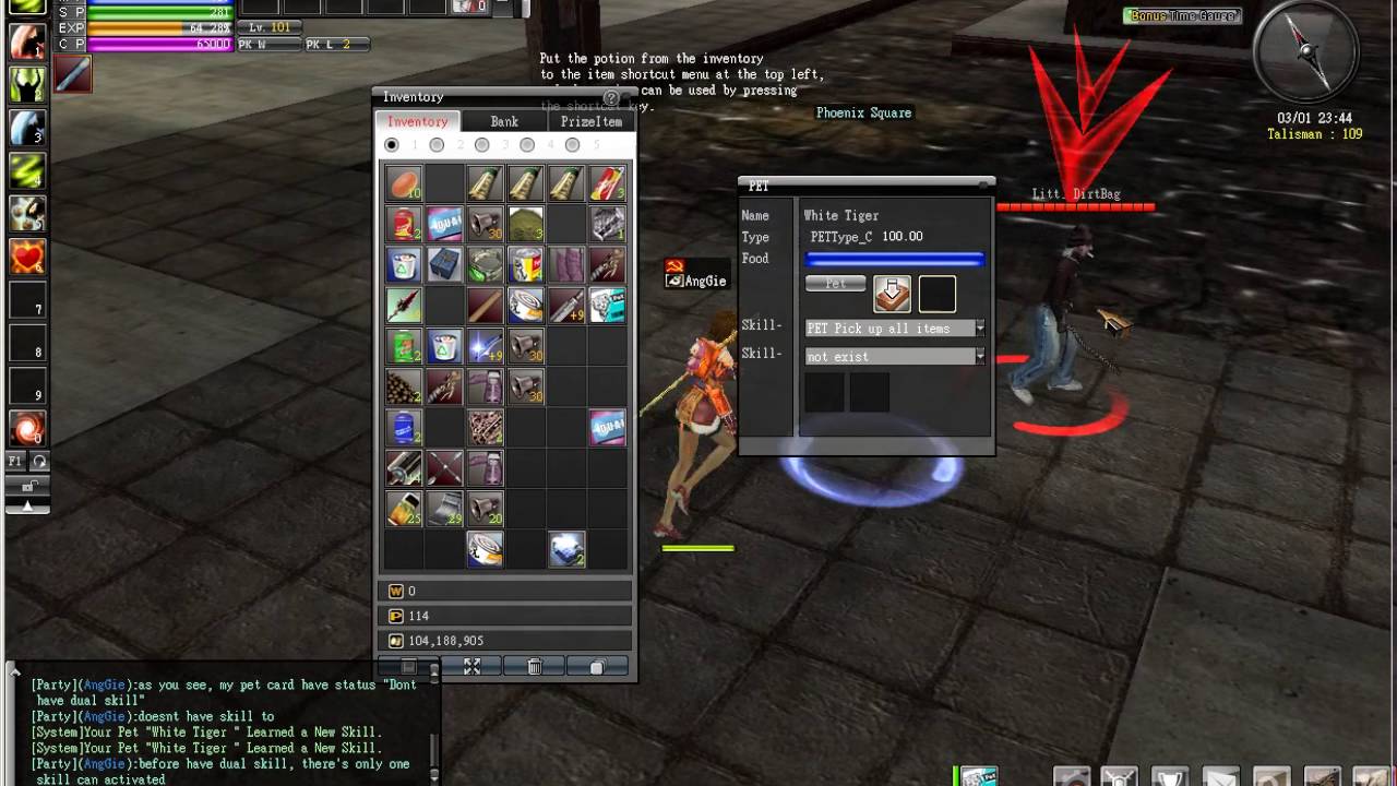 Ran Online Dual Skill Pet