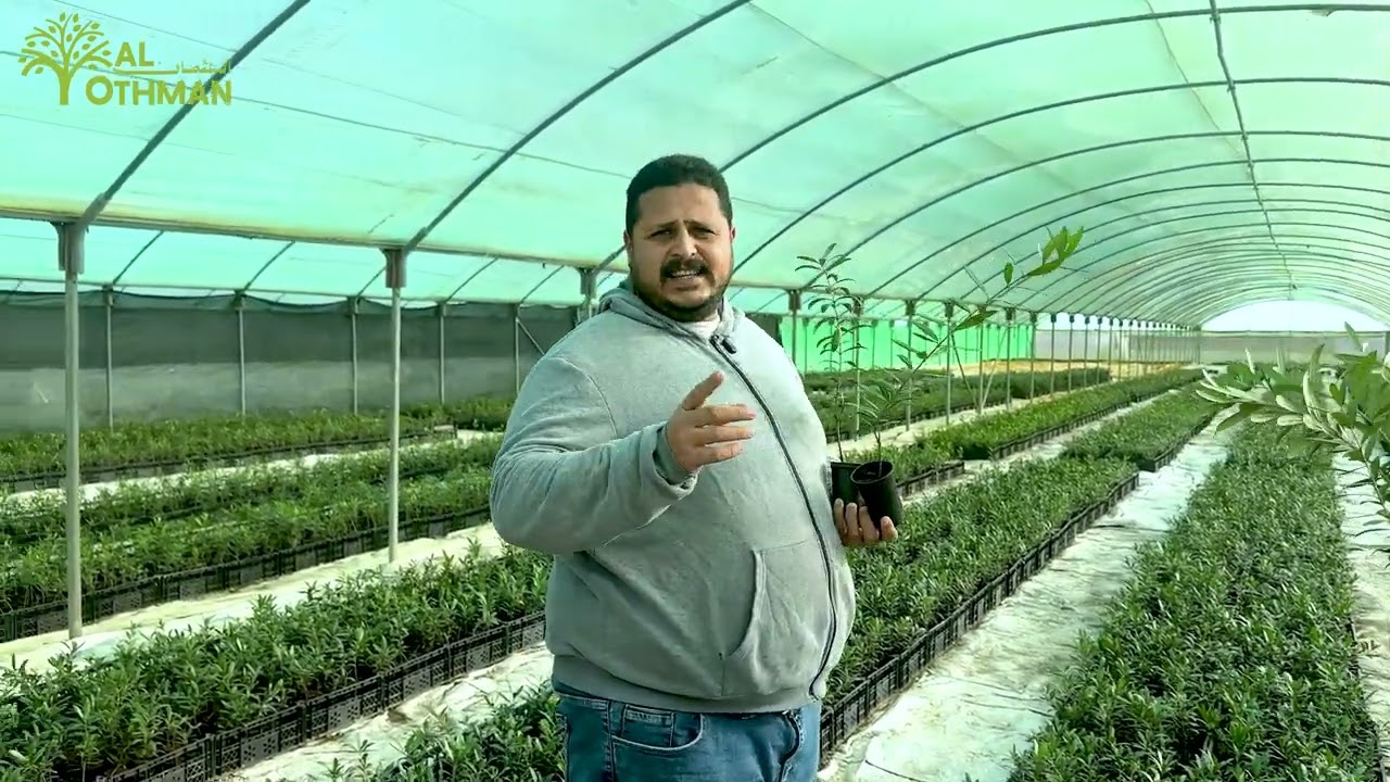 استشارة أ/احمد أسامة علوان الاستشاري الزراعي في مشتل آل عثمان(إنتاجية زيادة و تكاليف أقل) 