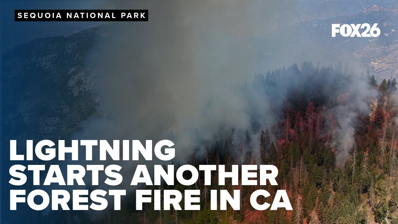Lightning strike sparks fire, threatening Sequoia trees and local community