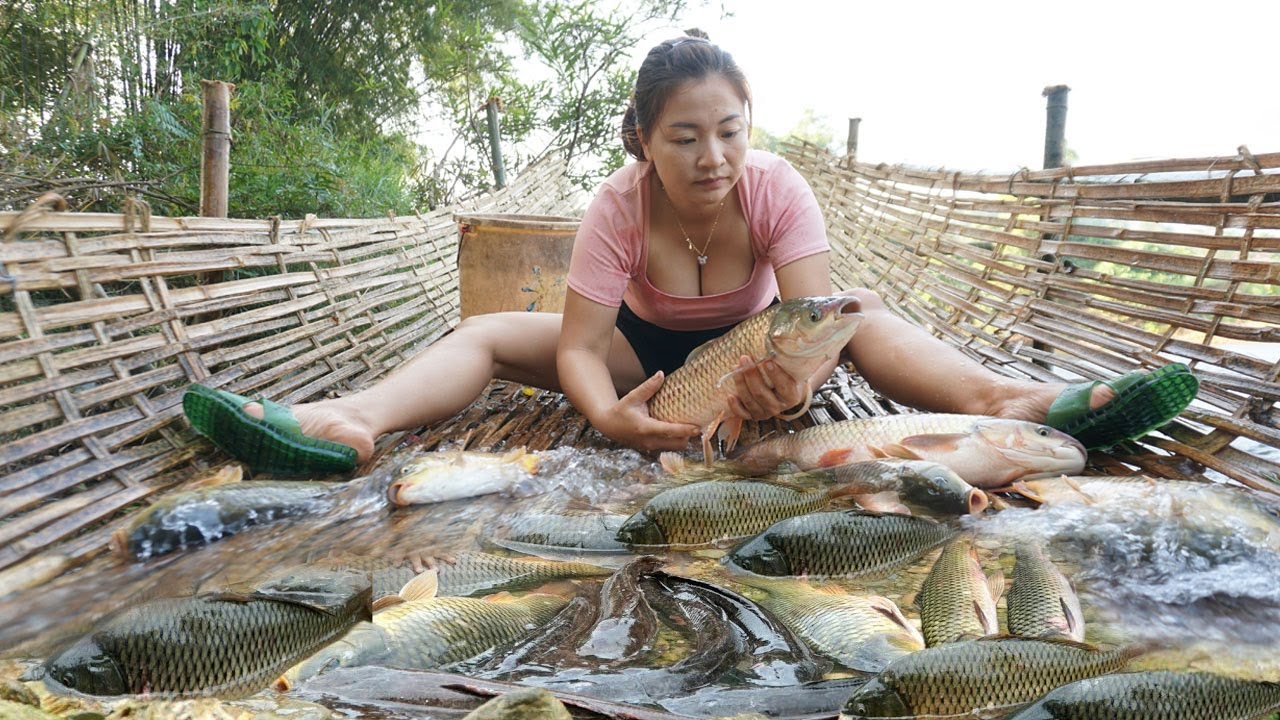 Encounter a huge school of fish - Use bamboo as a water barrier and divert the flow to fish traps