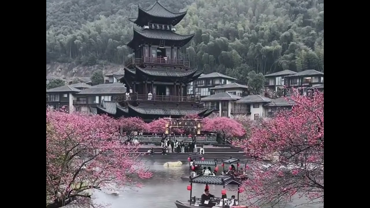 H.S-Late Night Pages