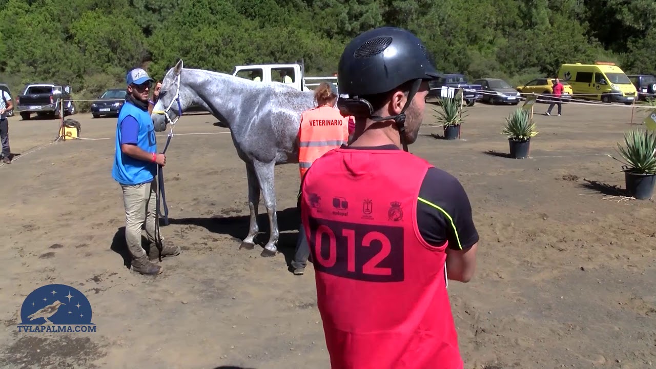 Raid de La Palma Ecuestre y Campeonato de Canarias