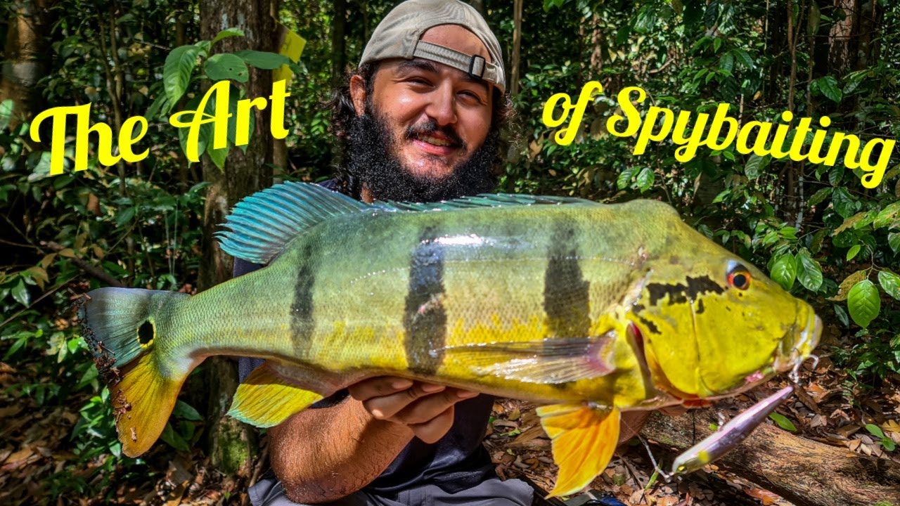Spybait and Soft Plastic session in the Jungle for Peacock Bass | Singapore | Island Anglers