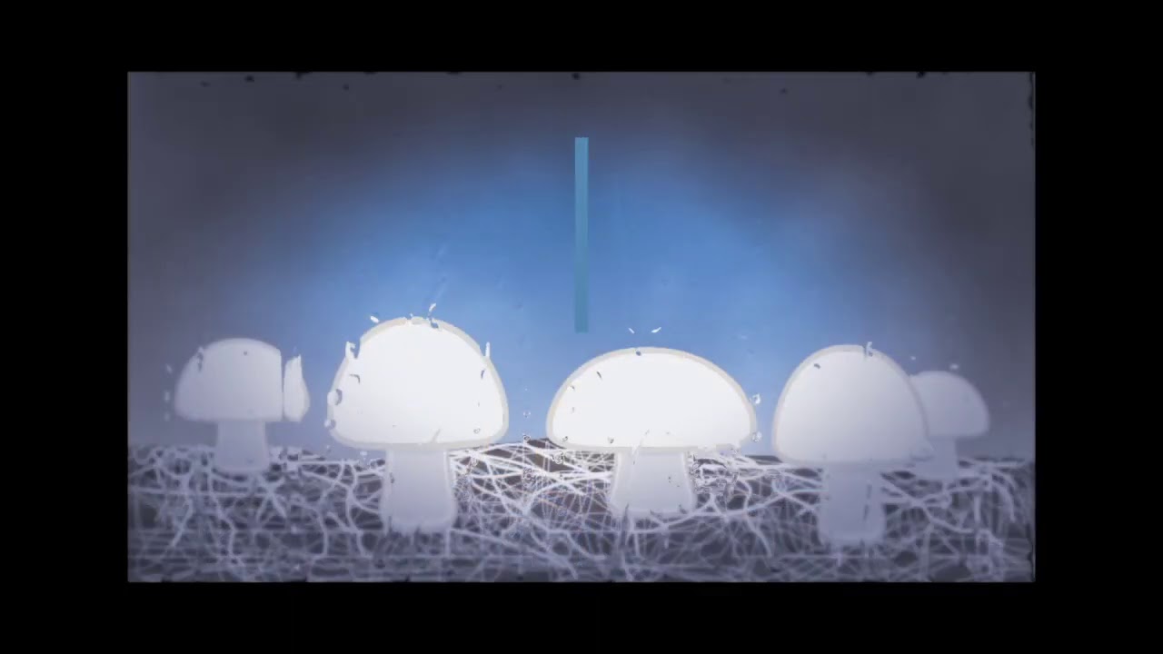 Mushroom Cultivation Process