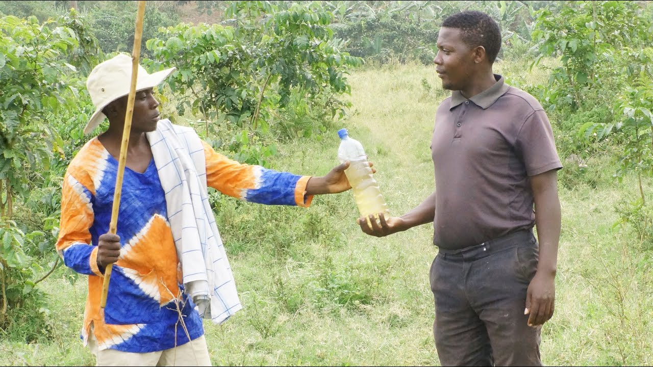 Mpereza Amaizi Gomukazi wangye Ngyende - Ankole Comedy / Funny Muhima