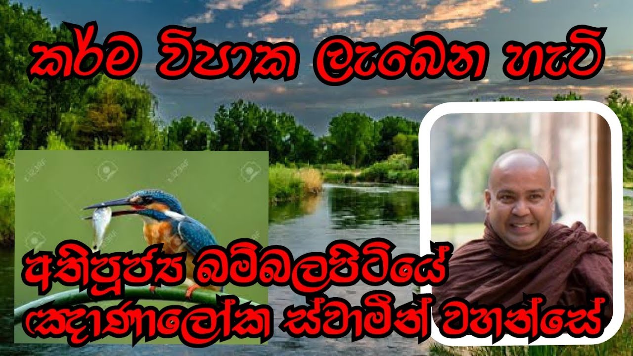 කර්ම විපාක ලැබෙන හැටි | Ven.Bambalapitiye Gnanaloka Thero