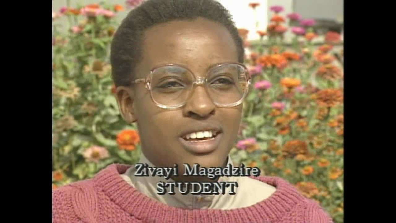A Bridge to Dreams   1992