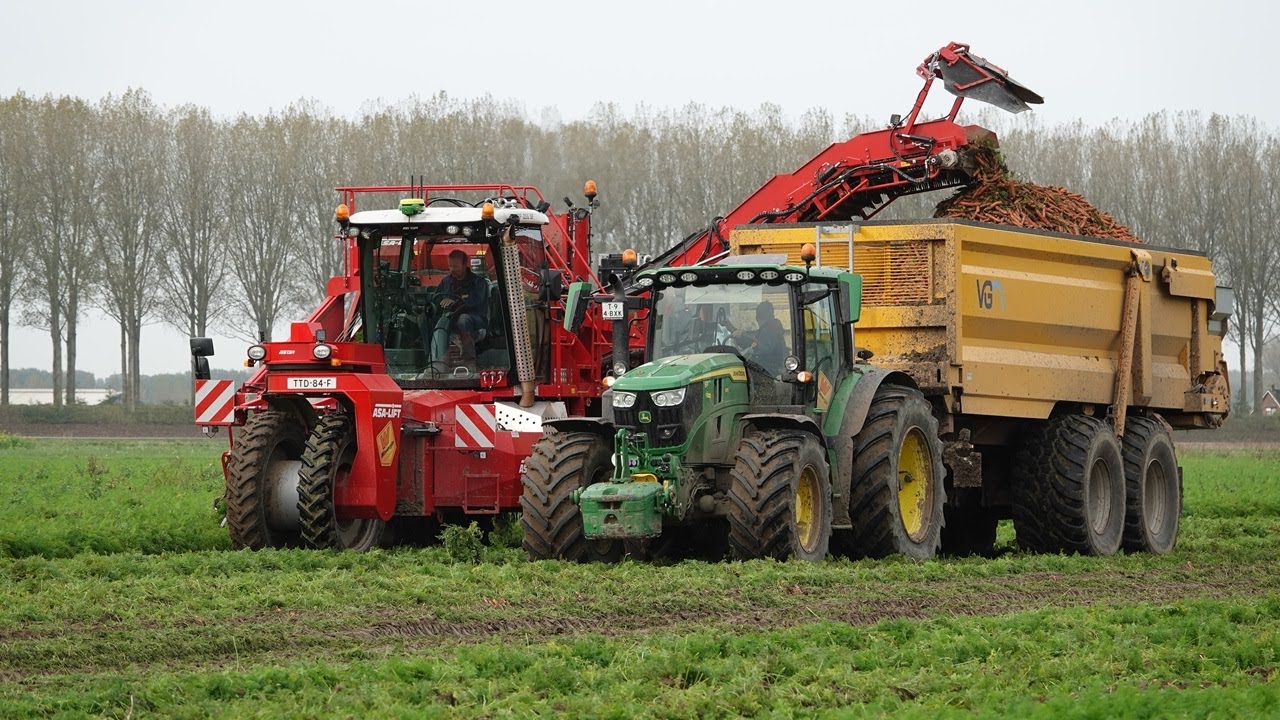 How carrots are harvested | Harvesting Carrots | 2 row ASA-LIFT & John Deere 6R 185 | Wortels rooien
