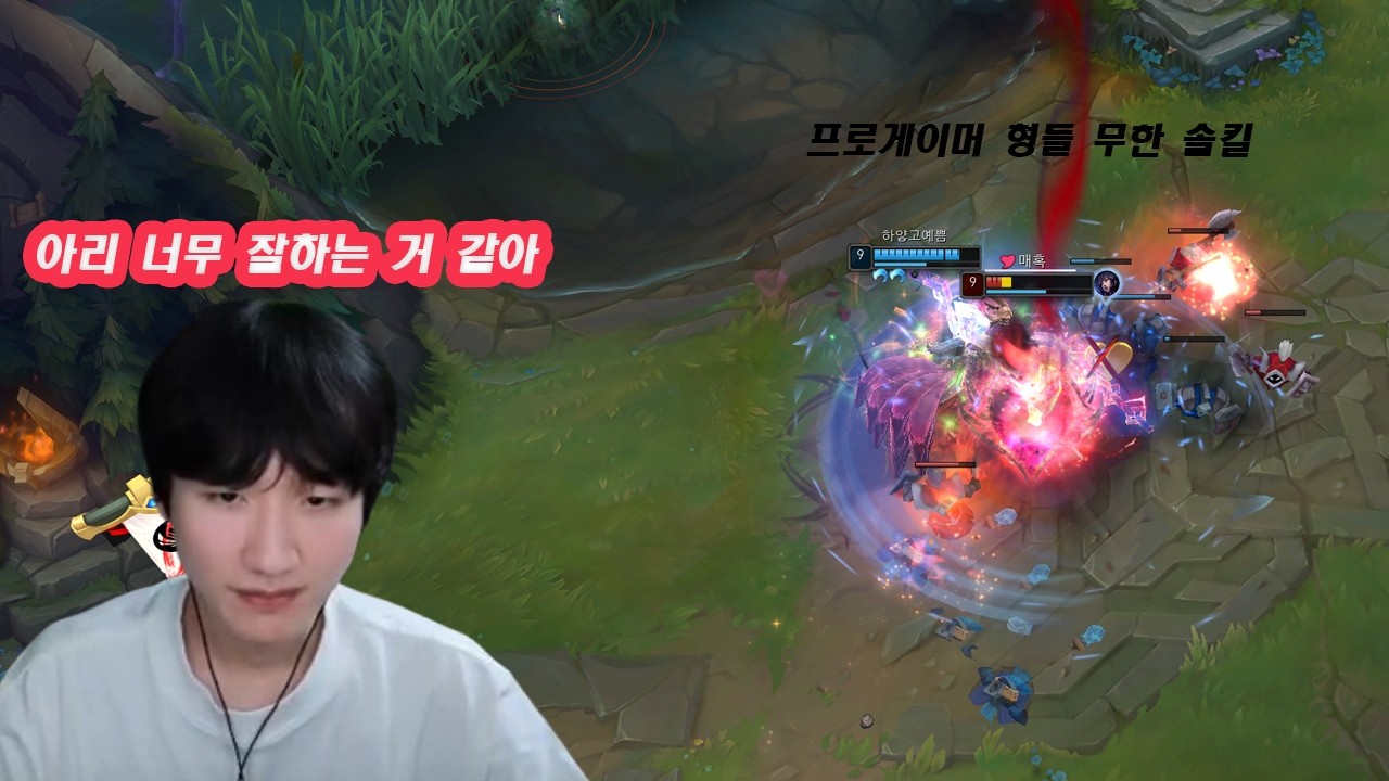 피넛 형님이 극찬하신 아리