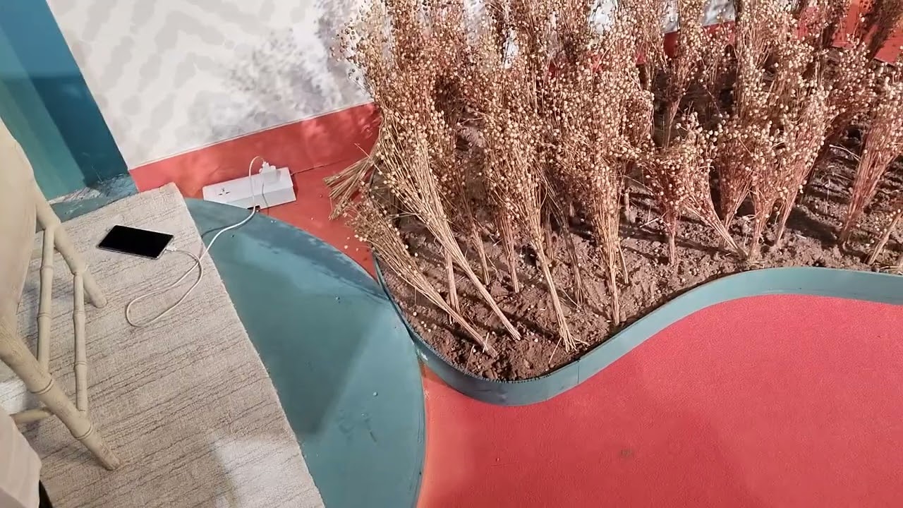 Bharat Textile Expo 2024