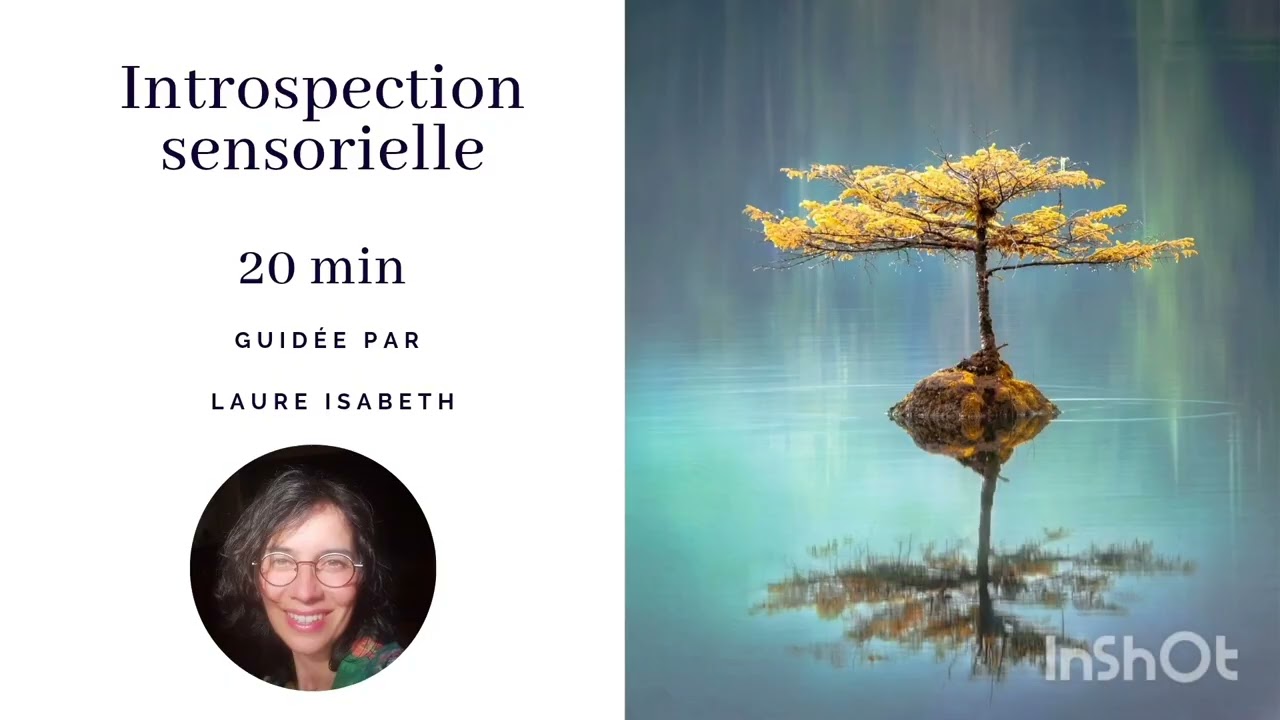 Introspection sensorielle 20 min