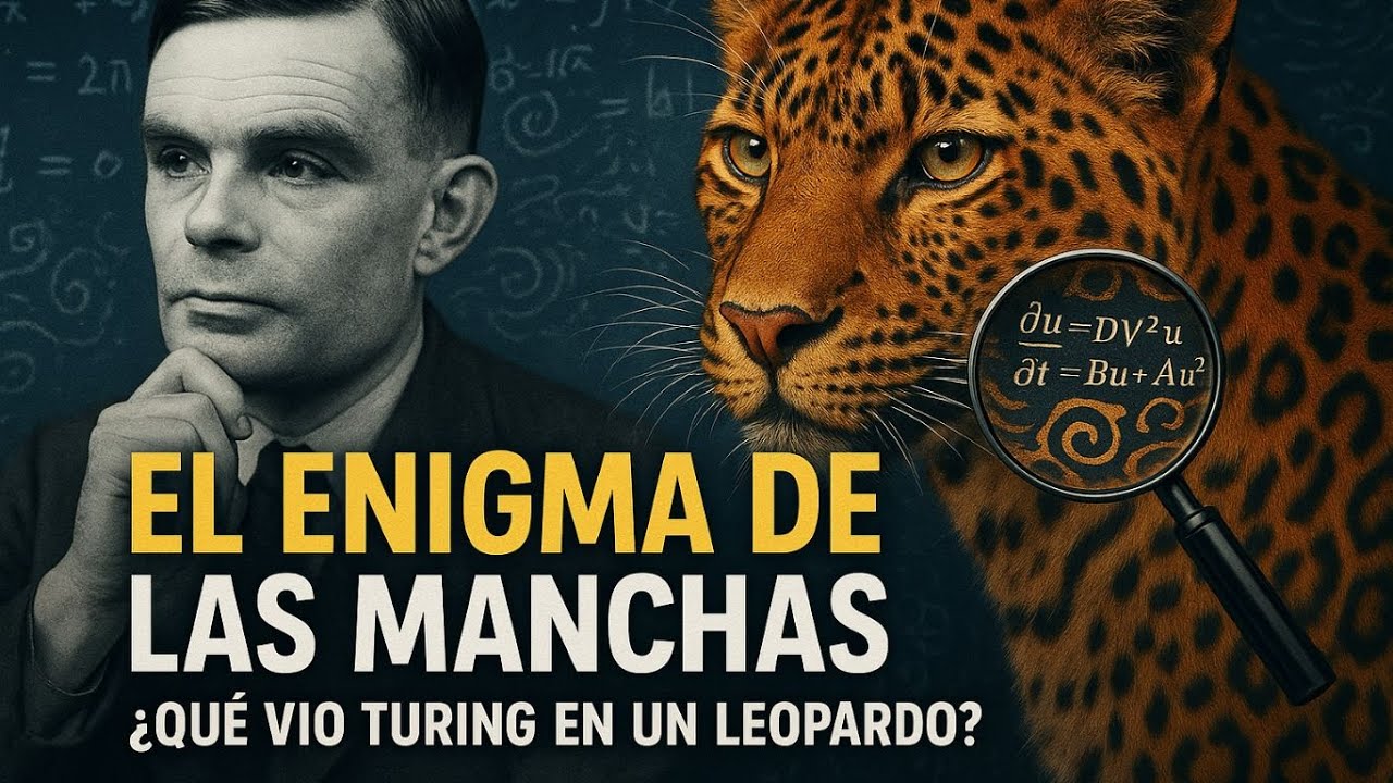 El enigma de las manchas: c&oacute;mo Turing descifr&oacute; los patrones de la naturaleza