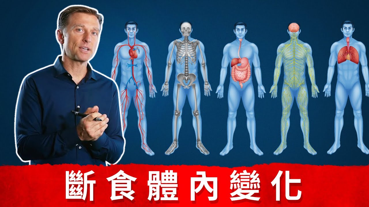 斷食6.斷食體內變化：抗衰老、自噬、燃燒脂肪、強化免疫力、癒合腸道關節炎等柏格醫生 Dr Eric Berg.