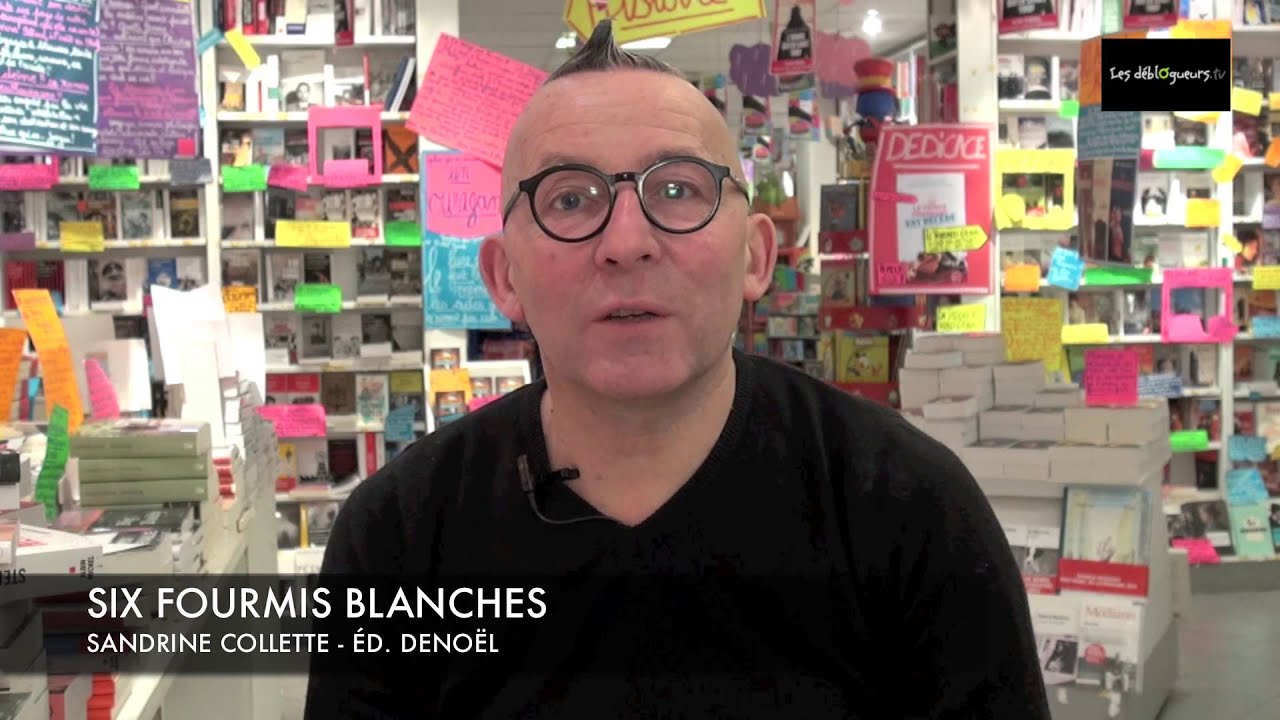 La chronique de Gérard Collard - Six fourmis blanches
