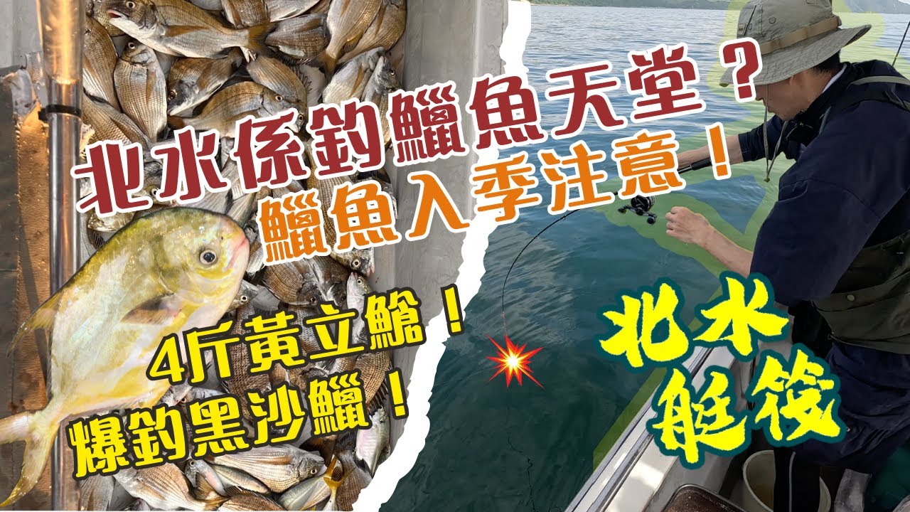【北水艇筏】北水係釣鱲魚天堂？爆釣黑沙鱲！4斤黃立䱽！鱲魚入季注意！#fishing #釣魚 #艇釣 #鱲魚 #黃立䱽 #船釣