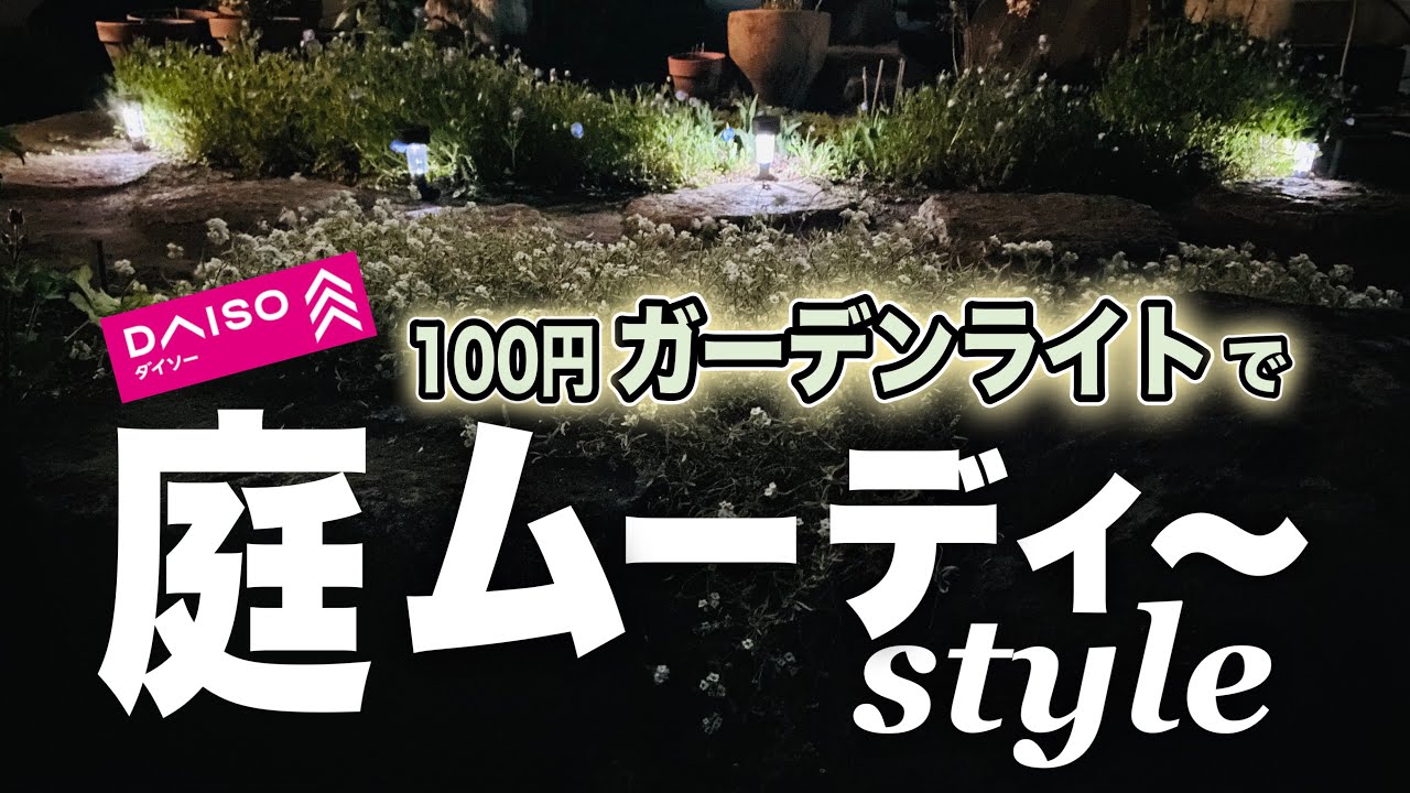【ダイソーガーデンライト】買ってみました！夜のお庭映え！ガーデニング 庭づくり