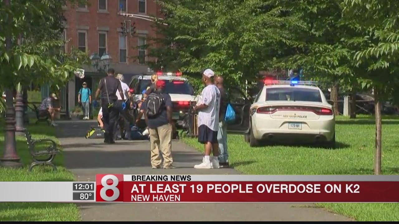 At least 20 people overdose on K2 on the New Haven Green