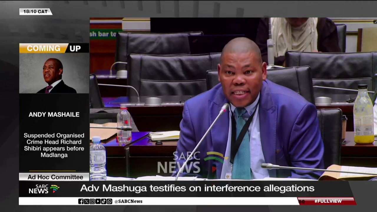 Ad Hoc Committee | Adv Mashuga testifies on interference allegations