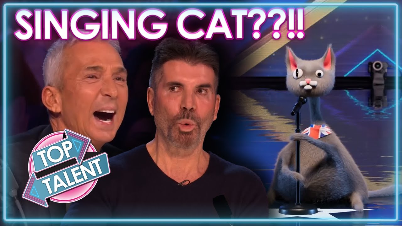 Поющий кот проходит прослушивание для шоу &laquo;Britain's Got Talent 2023&raquo; и оставляет всех в замешате...