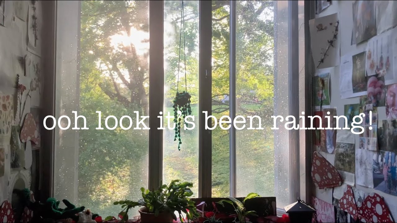 room daylight vlog • daylight shots from erd basement ☼