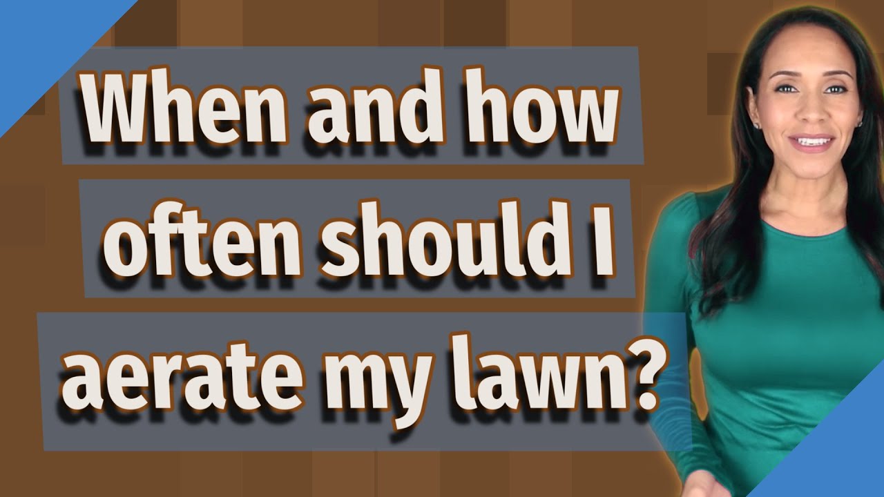 When and how often should I aerate my lawn?