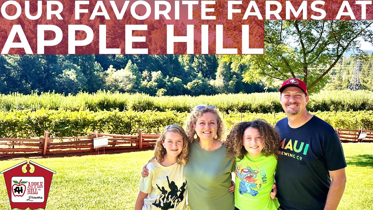 Apple Hill in October | Our Favorite Apple Farms | Enjoying All of the Apple Goodness!
