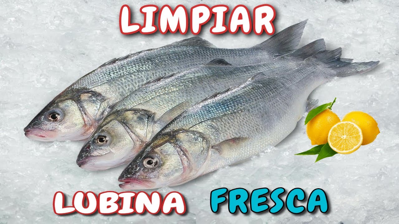 (PASO A PASO) Como LIMPIAR una LUBINA fresca al HORNO