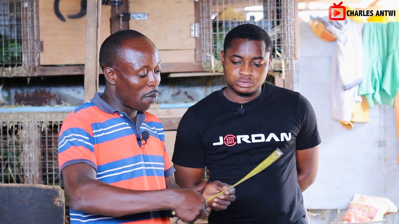 Grasscutter Farming | How To Build The Best Grasscutter Cages #farming #grasscutter #rats