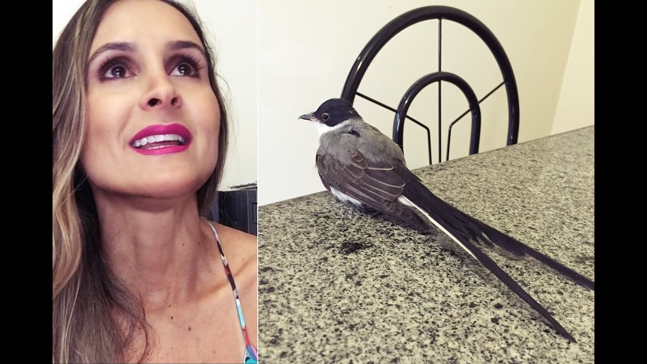 Princesa: A Transformação Final.