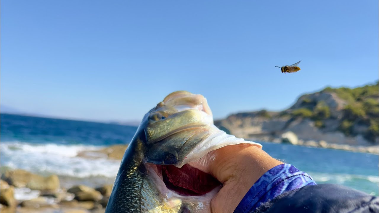 LRF Derleme, Specialization on Hanfish Bıdık (Levrek, Sargoz, Melanur) / Light Game Changer #kalama 