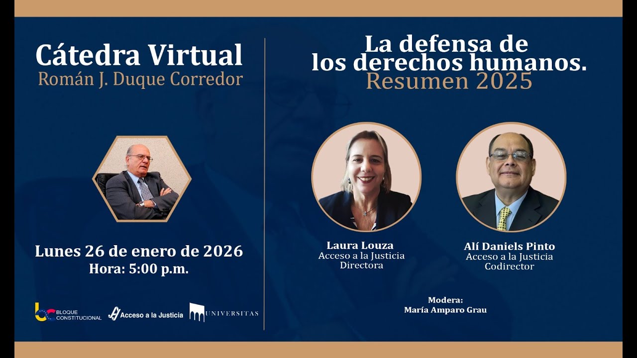Acceso a la Justicia La defensa de los derechos humanos Resumen 2025