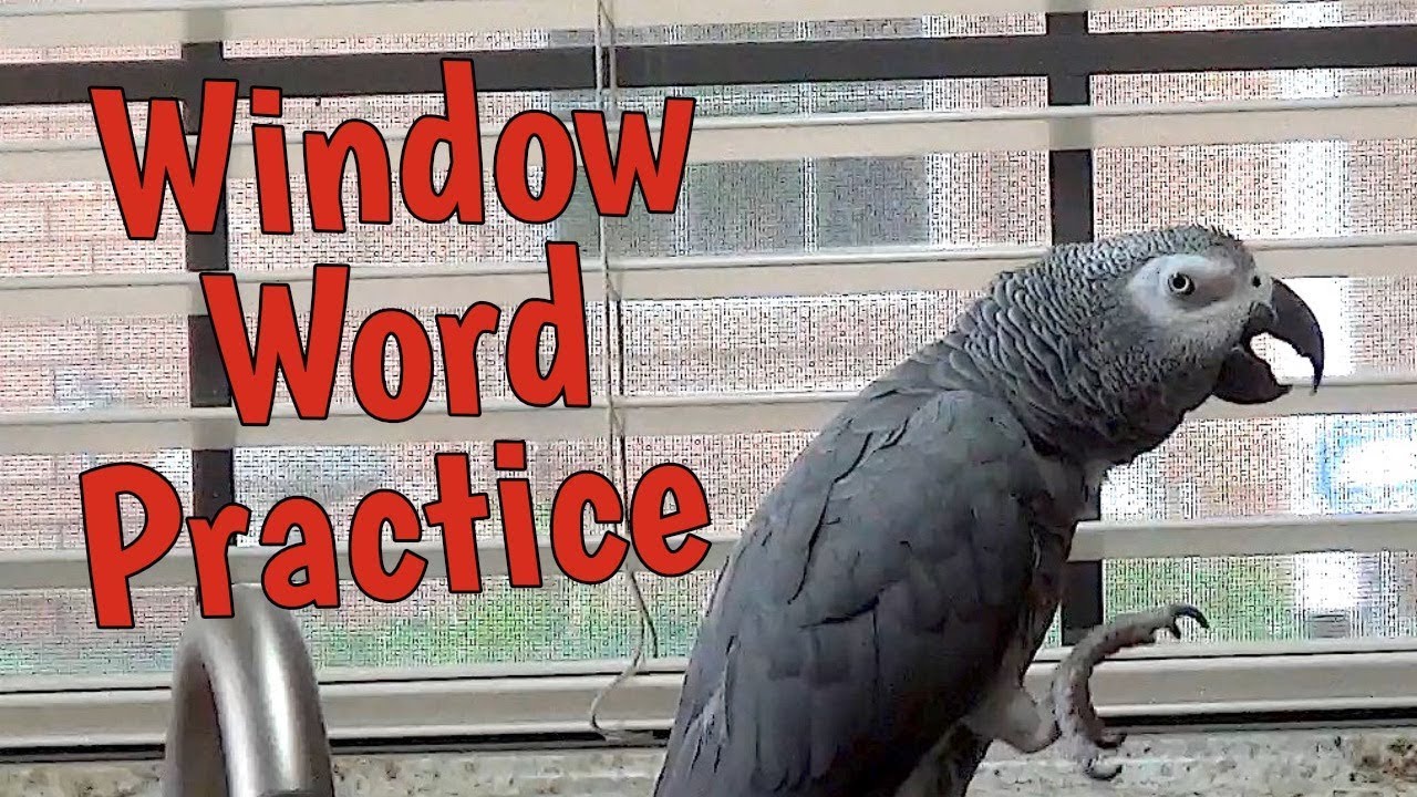 Einstein's Kitchen Window Word Practice