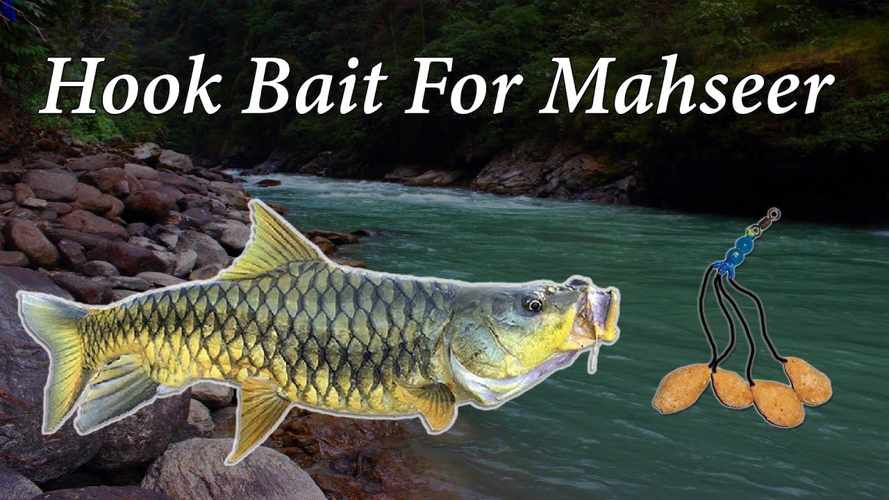 Mahseer Hook Bait
